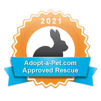 adopt a rabbit in tampa bay florida approved rescue badge